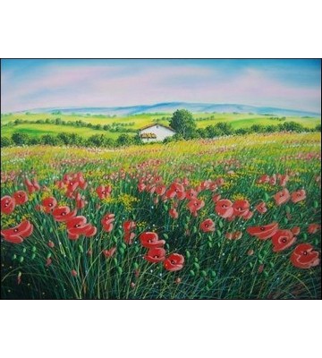 Campo di Papaveri in Abruzzo